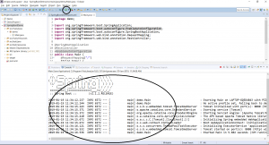 Console output in Spring Boot application